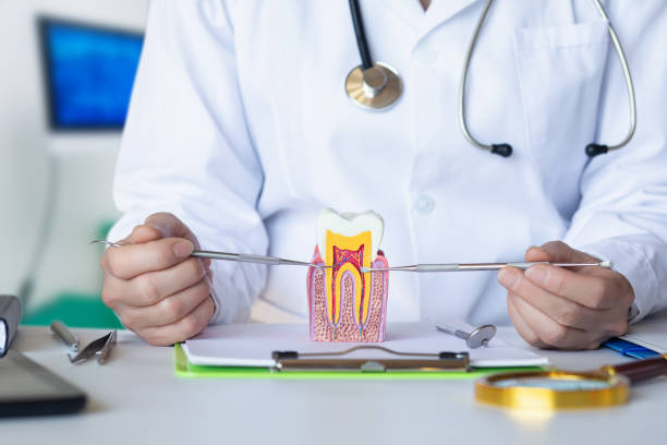 Best Emergency Treatment for Dental Infections or Abscesses in Gnadenhutten, OH